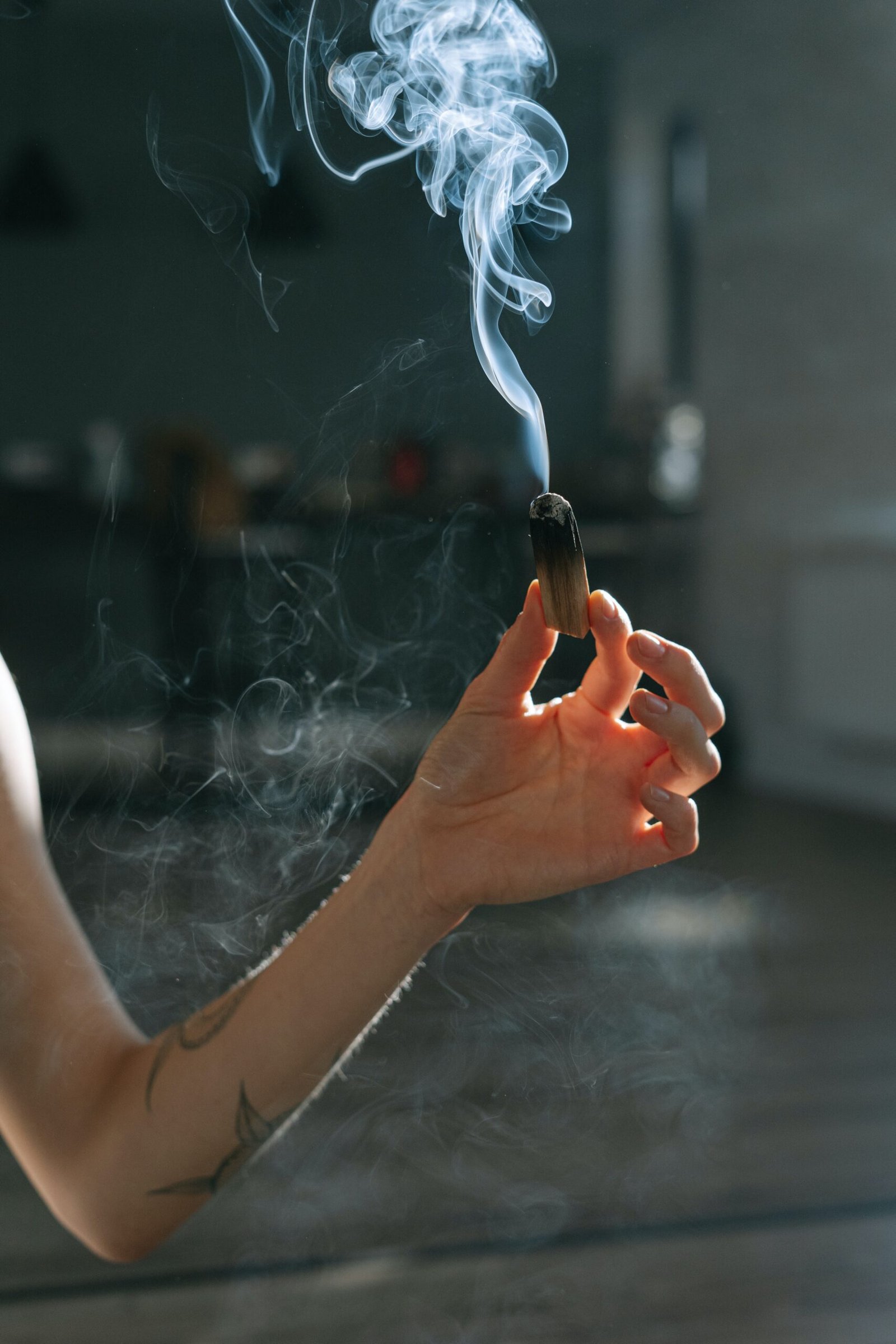 Palo Santo "Holy Wood" (Set of 3)