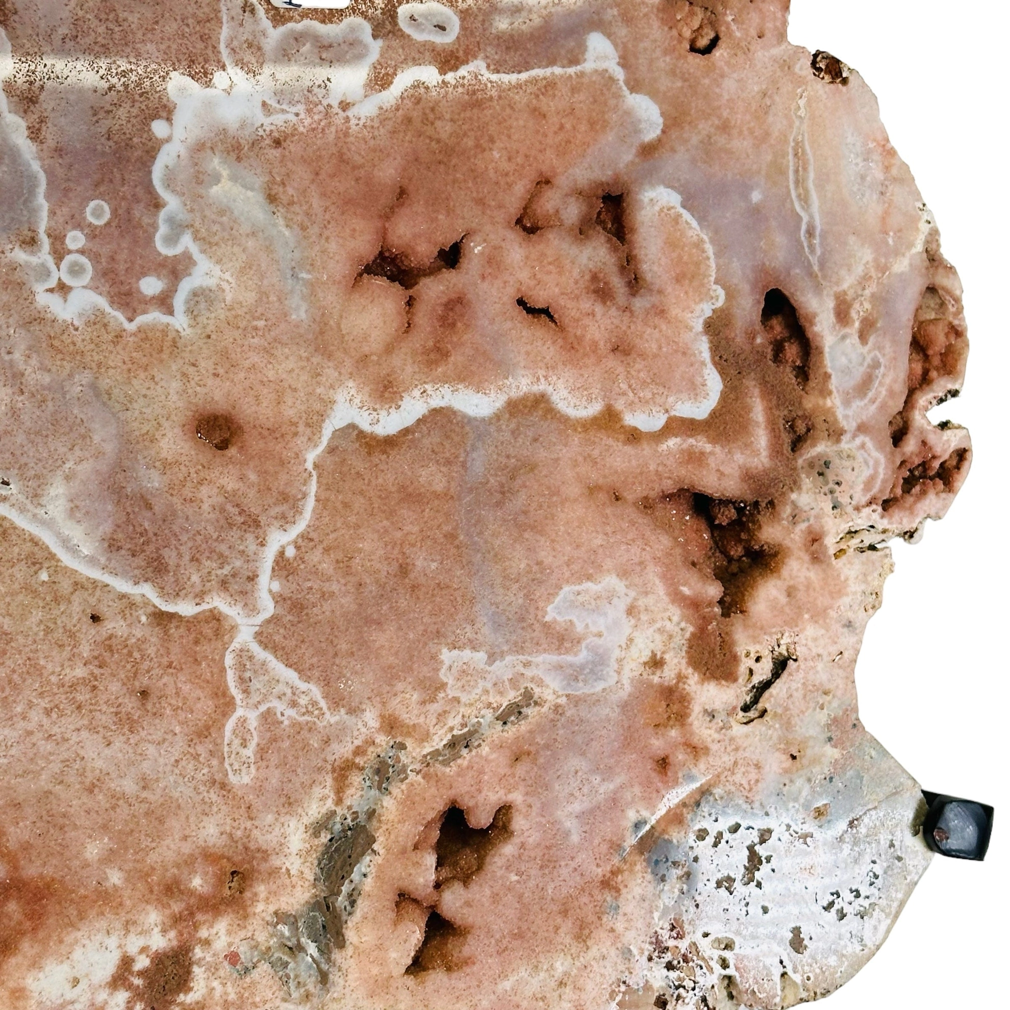 Serenity Bloom Wall Stone (One-of-a-Kind)